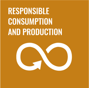 Responsible Consumption_Colour