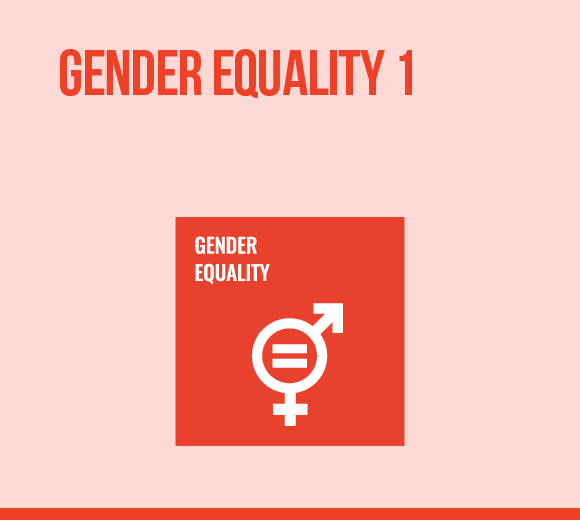 MFL-Gender Equality