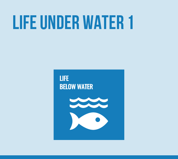 MFL-Life under water 1