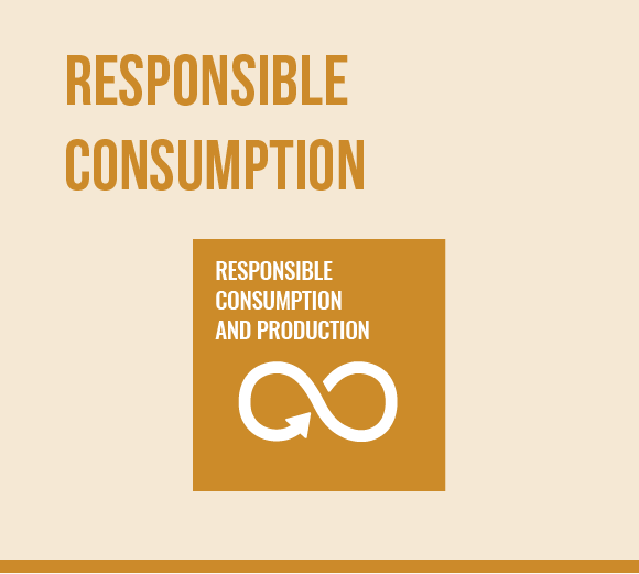 MFL-Responsible Consumption